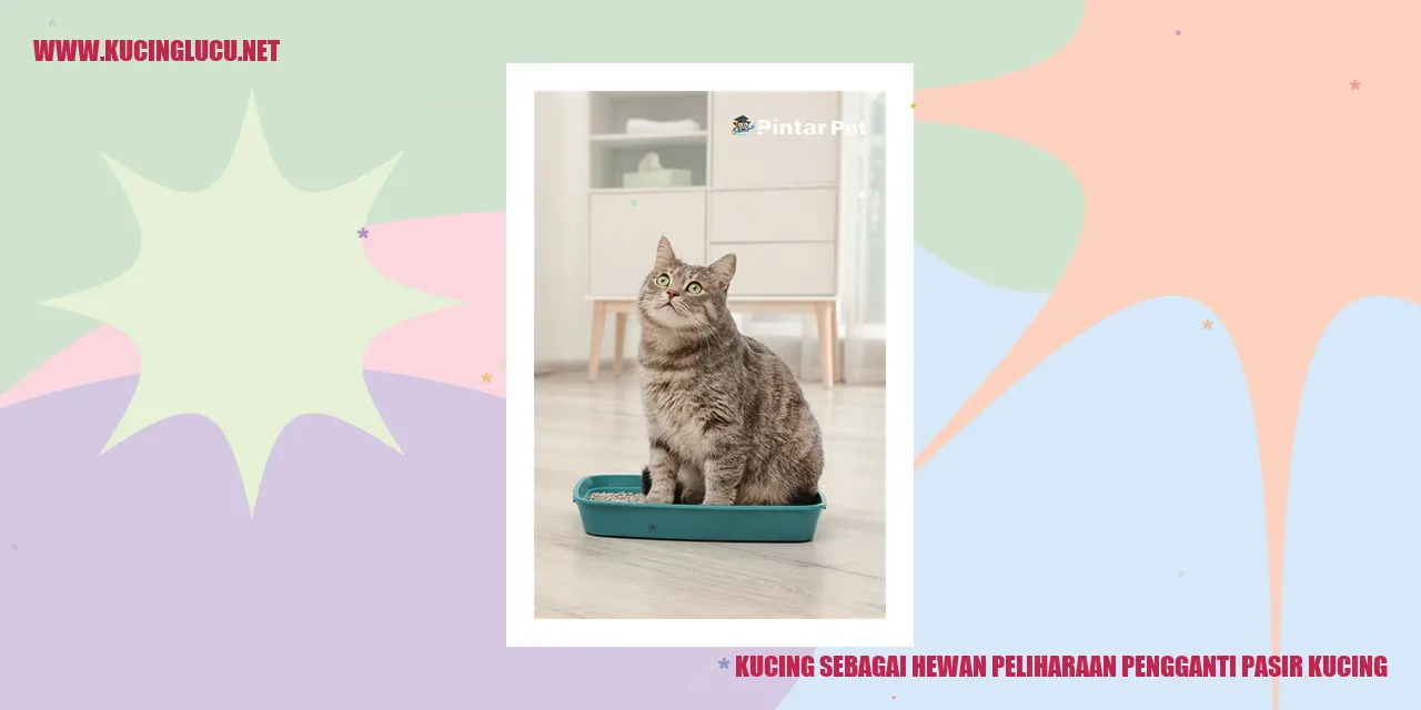 Kucing sebagai Hewan Peliharaan Pengganti Pasir Kucing