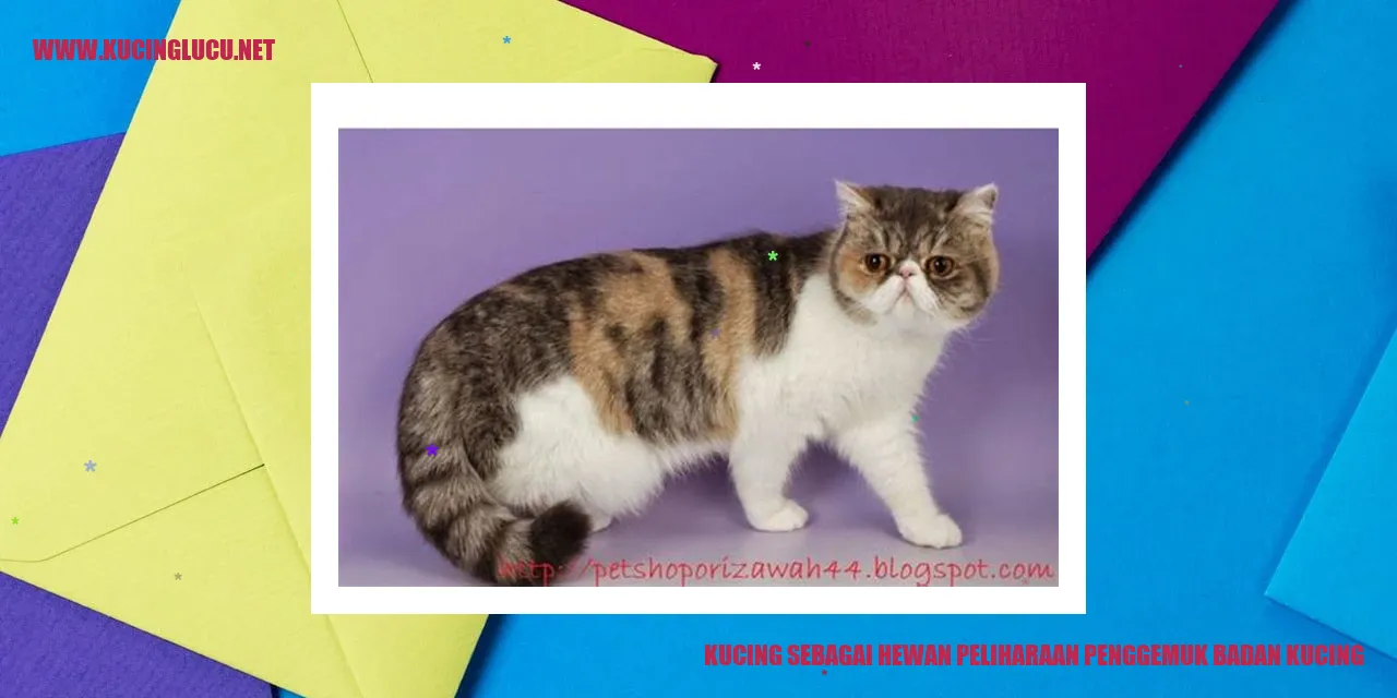 Kucing sebagai Hewan Peliharaan Penggemuk Badan Kucing