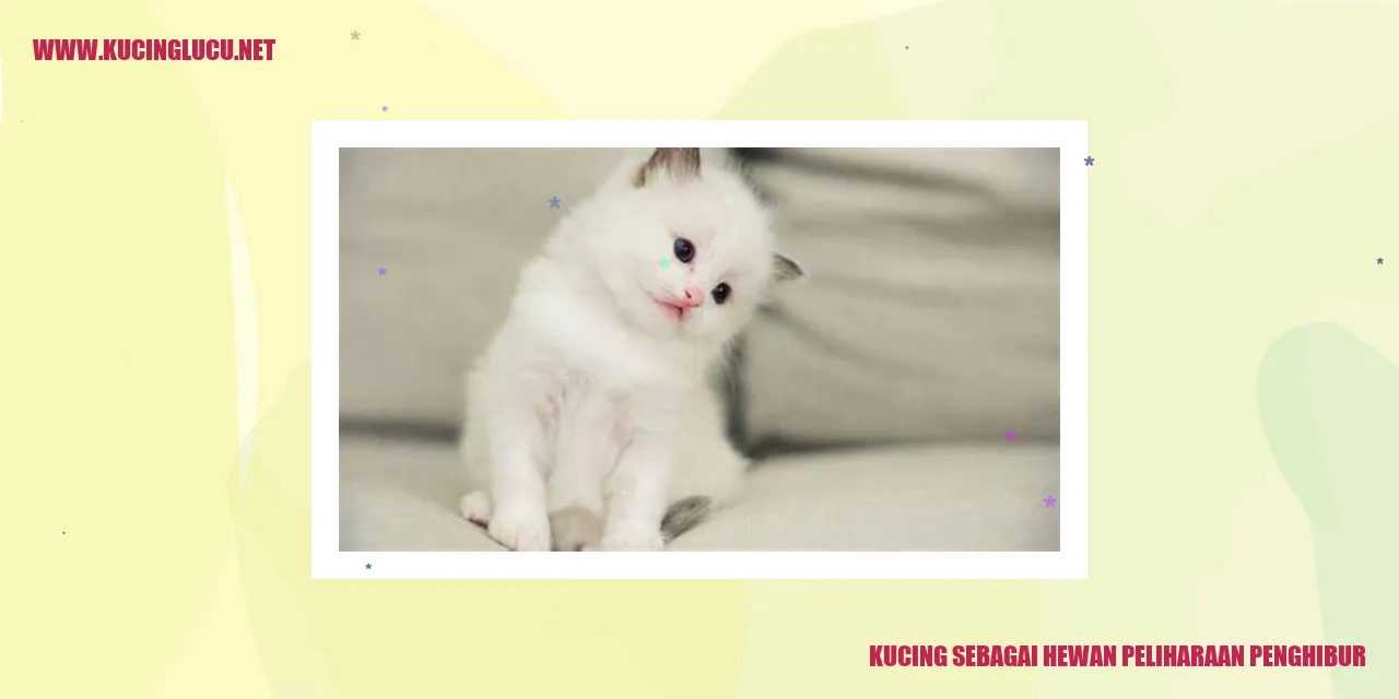 gambar-kucing