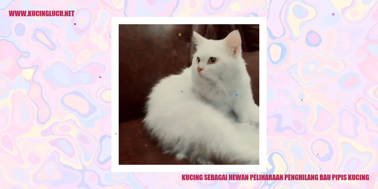 Galeri Kucing Imut