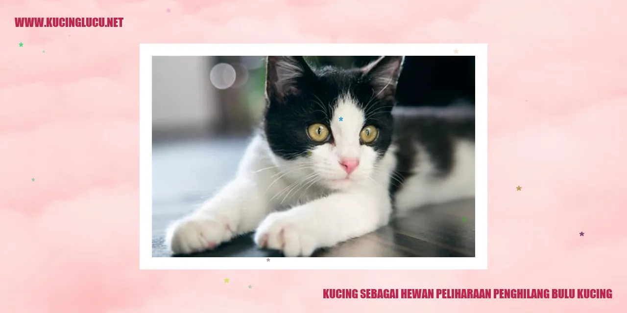 Kucing Sebagai Hewan Peliharaan