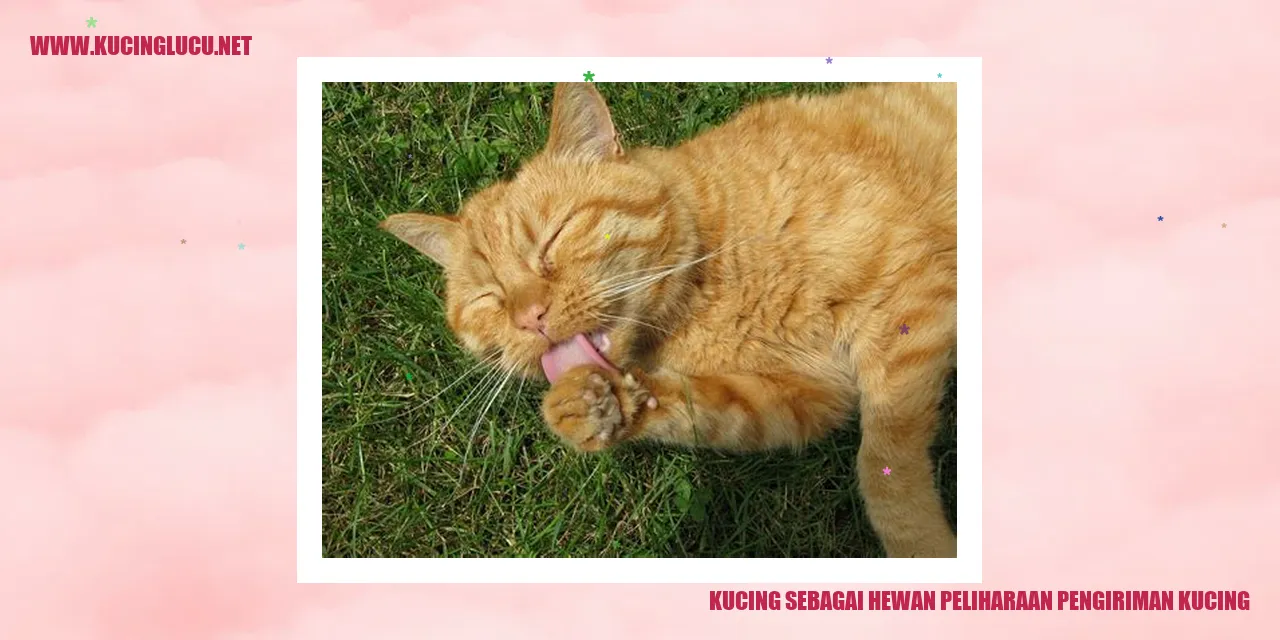Kucing sebagai Hewan Peliharaan Pengiriman Kucing