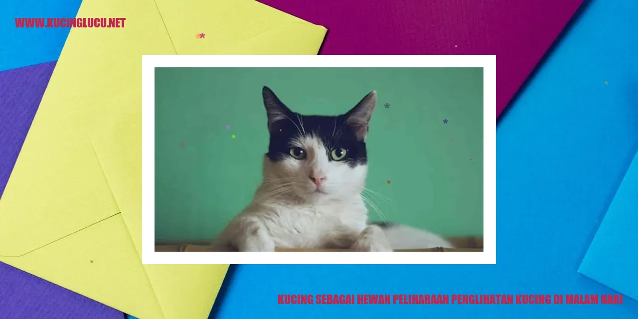 gambar kucing yang lucu