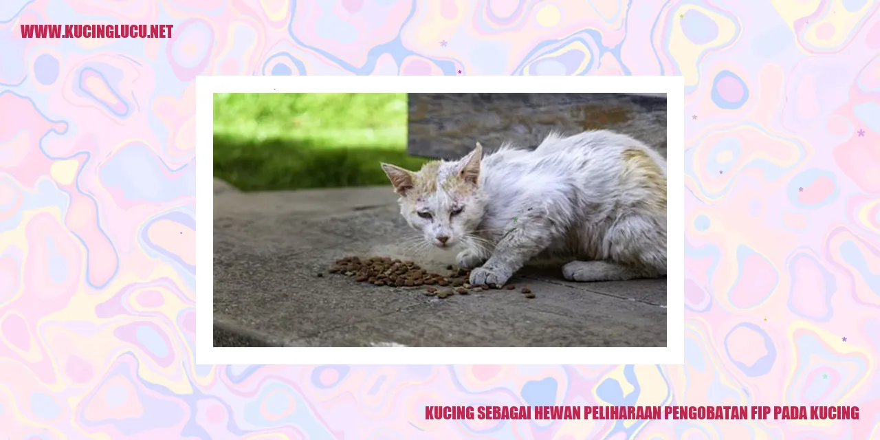gambar kucing