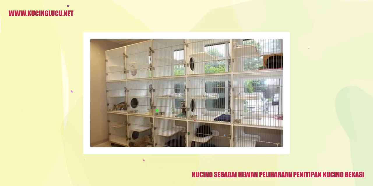 Kucing sebagai Hewan Peliharaan