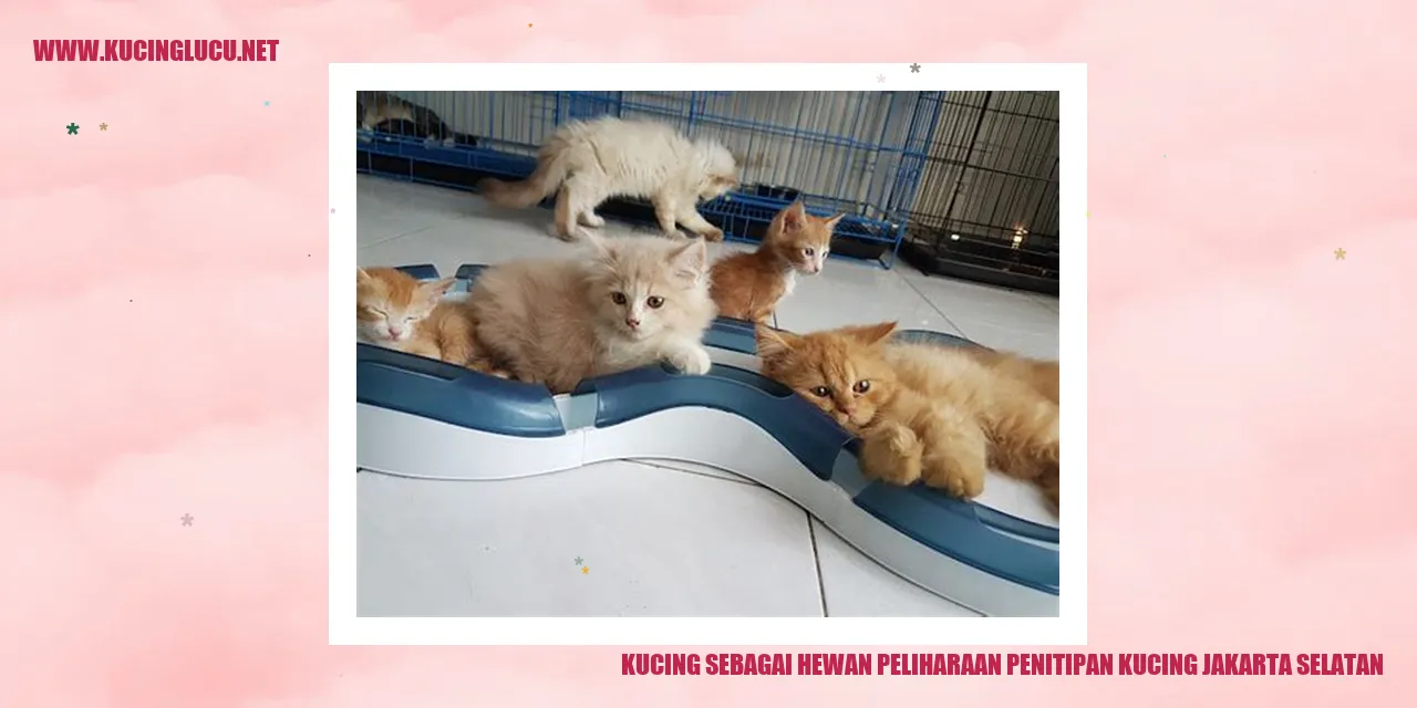 Kucing sebagai Hewan Peliharaan di Penitipan Kucing Jakarta Selatan