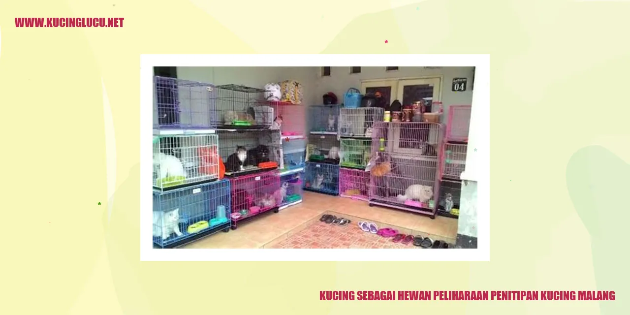 Gambar Kucing sebagai Hewan Kesayangan