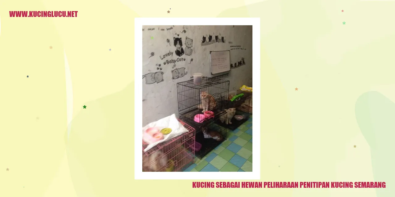 Kucing sebagai Hewan Peliharaan penitipan kucing semarang
