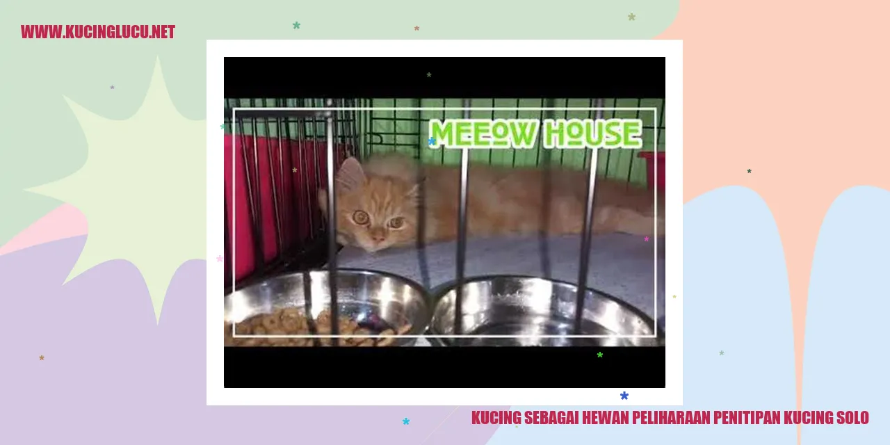 Kucing sebagai Hewan Peliharaan penitipan kucing solo