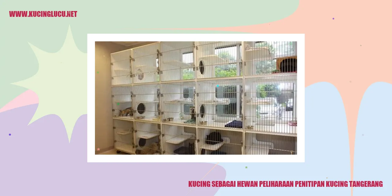 Kucing Sebagai Hewan Peliharaan