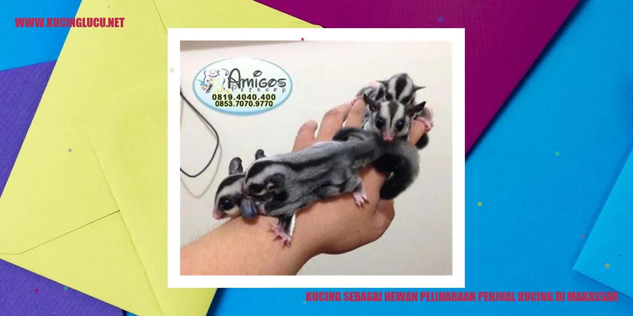 Gambar Kucing sebagai Hewan Peliharaan
