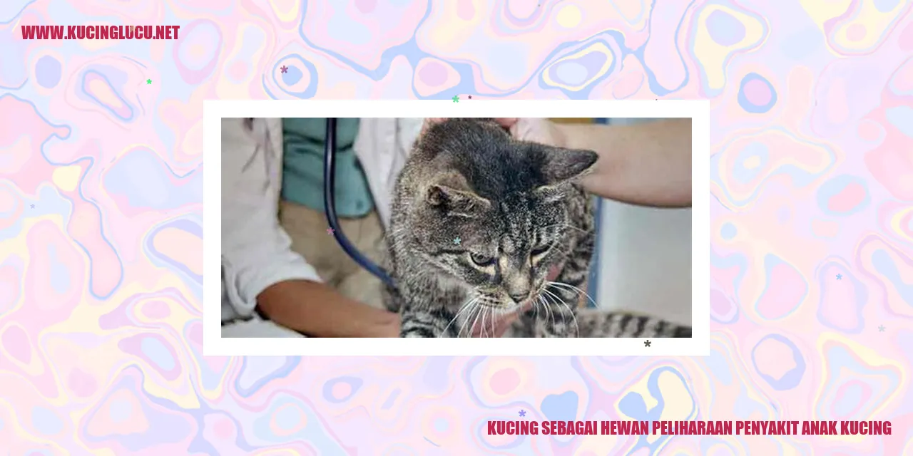 Gambar Kucing Lucu