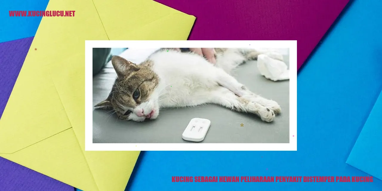 Kucing terinfeksi penyakit distemper
