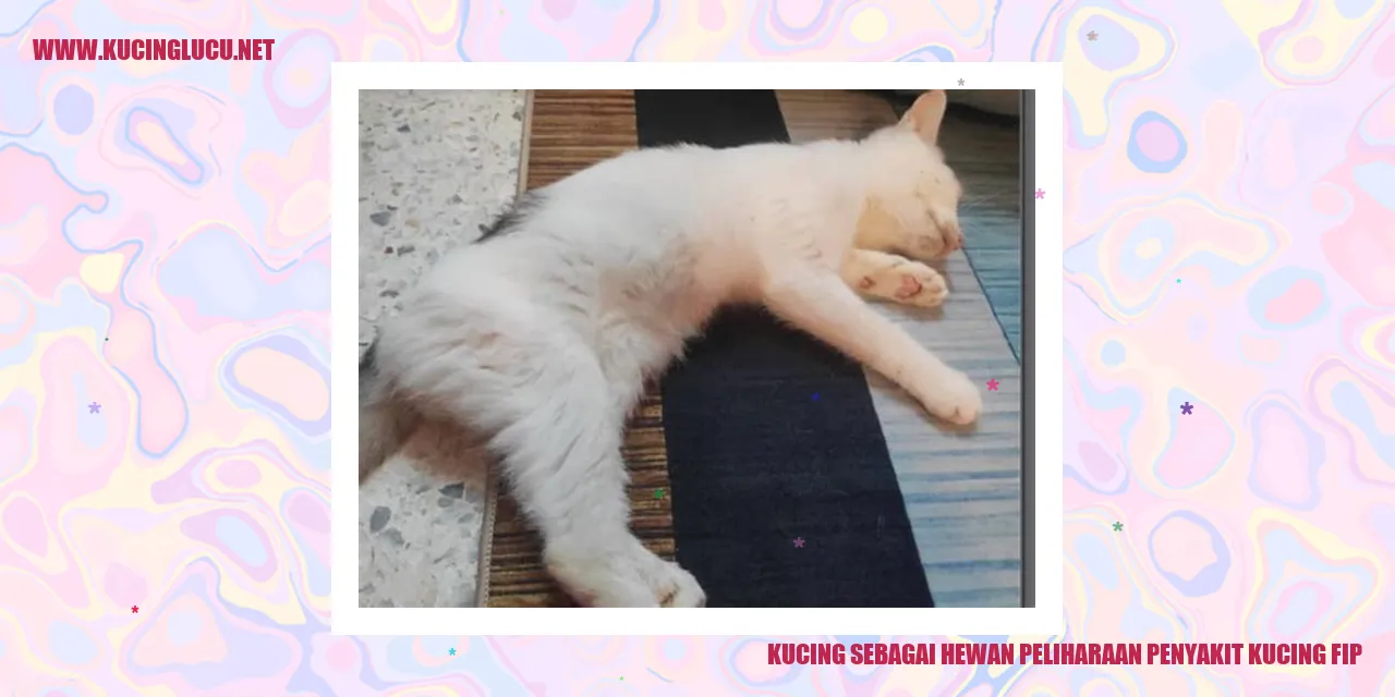 Kucing sebagai Hewan Peliharaan penyakit kucing fip