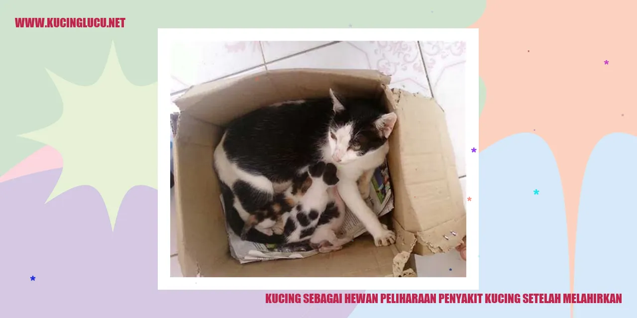 Kucing sebagai Hewan Peliharaan