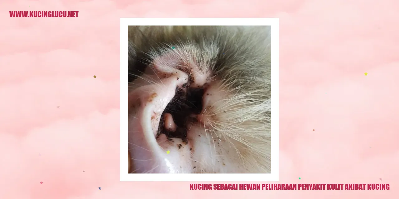 Gambar kucing yang menggemaskan