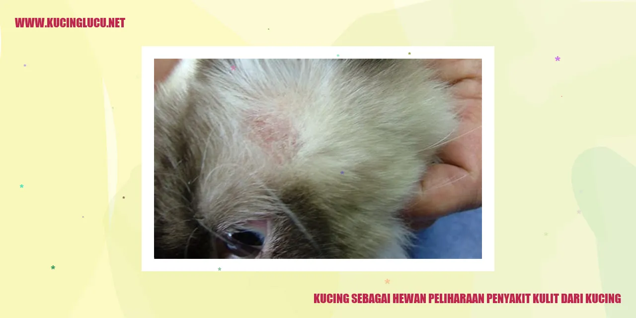 Kucing penyebab penyakit kulit