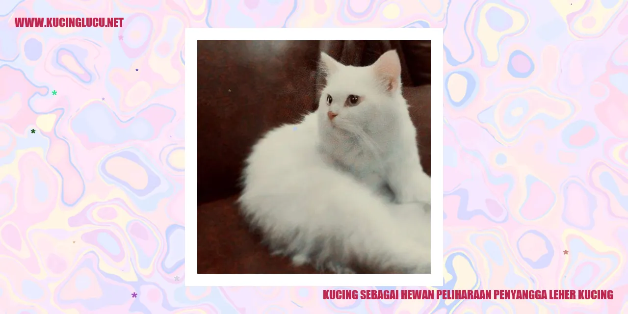 Foto Kucing
