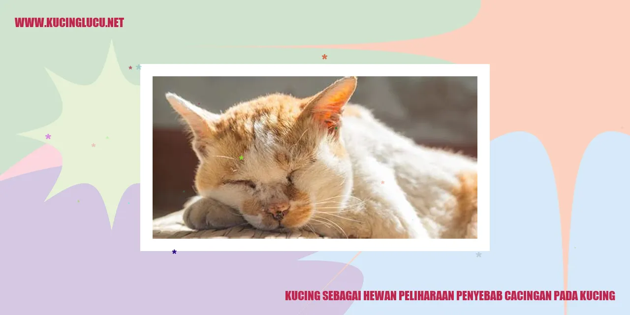 Gambar kucing