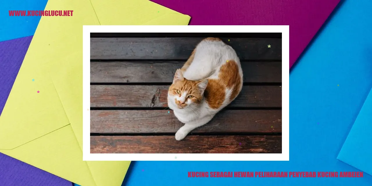 Gambar kucing