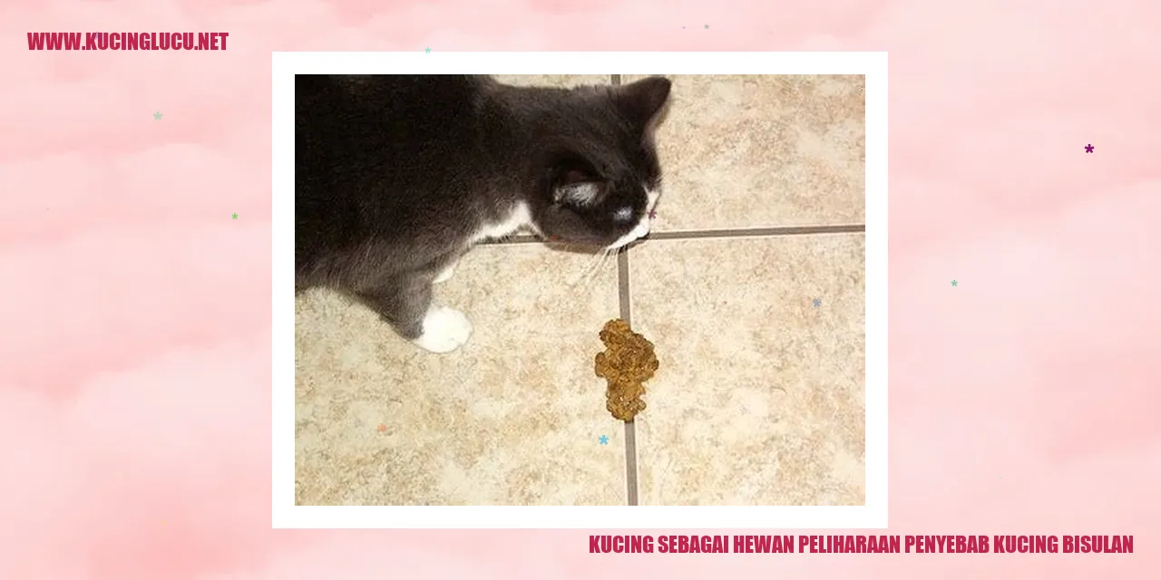 Gambar kucing