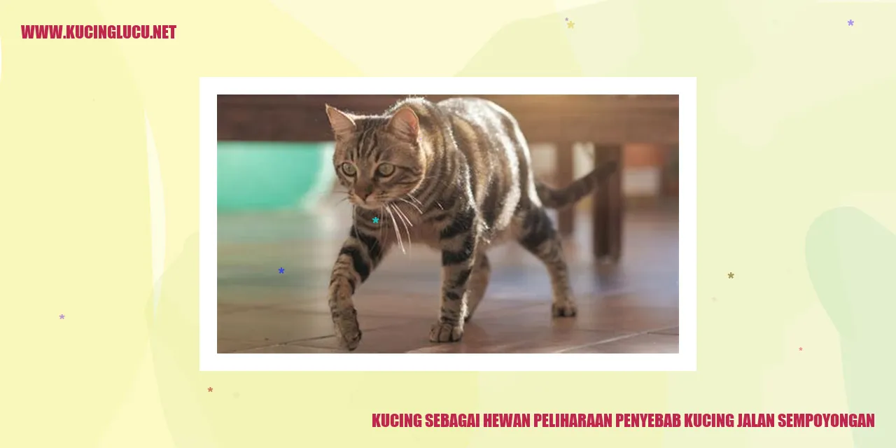 Foto Kucing yang Berjalan Sempoyongan
