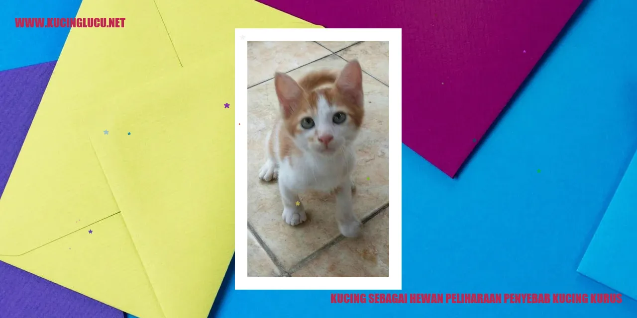 Gambar kucing kurus