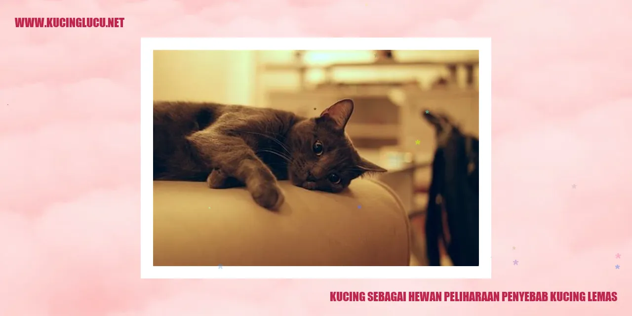 Kucing lemas
