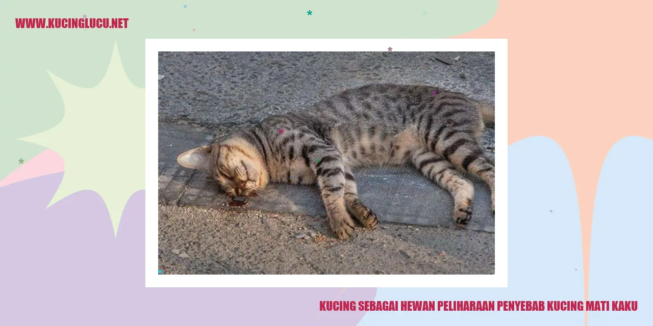 Kucing sebagai Hewan Peliharaan penyebab kucing mati kaku