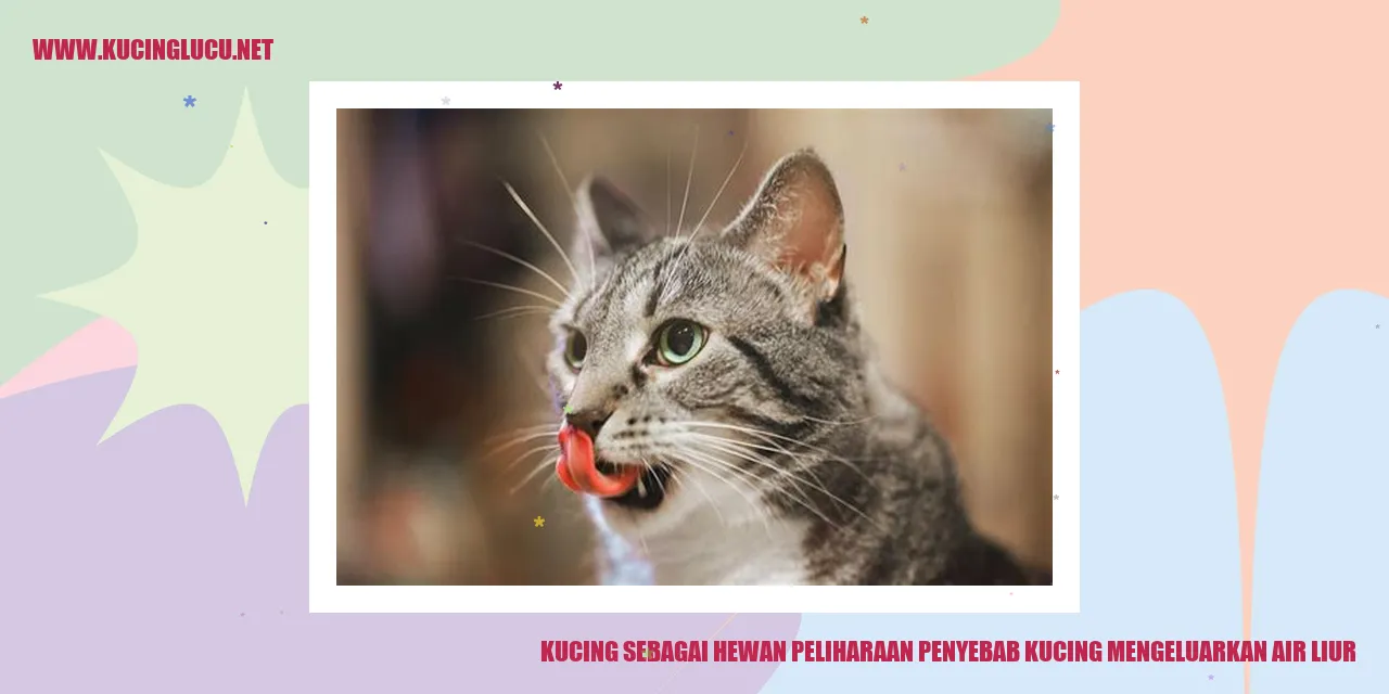 Kucing