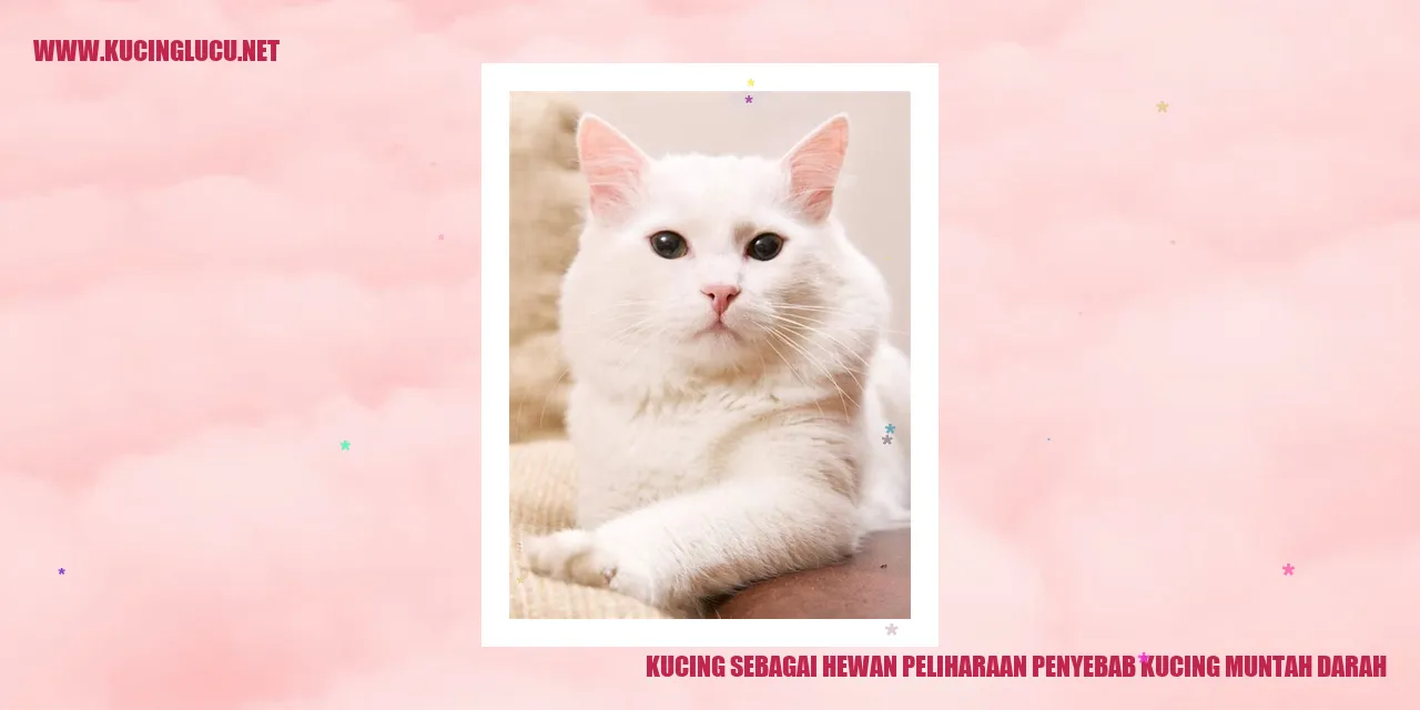 Gambar Kucing