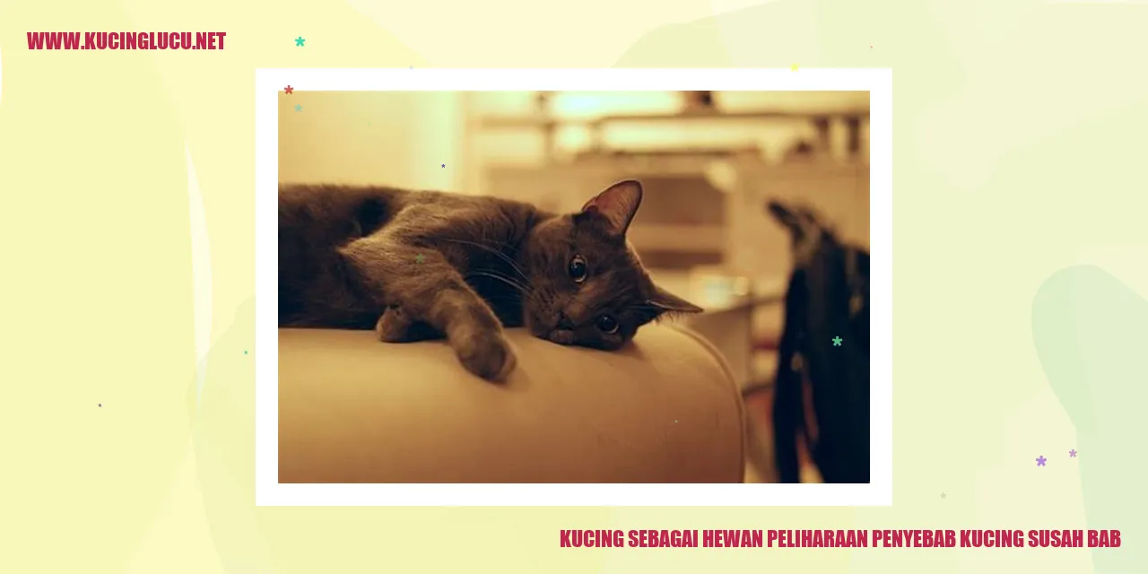 Kucing sebagai Hewan Peliharaan penyebab kucing susah bab