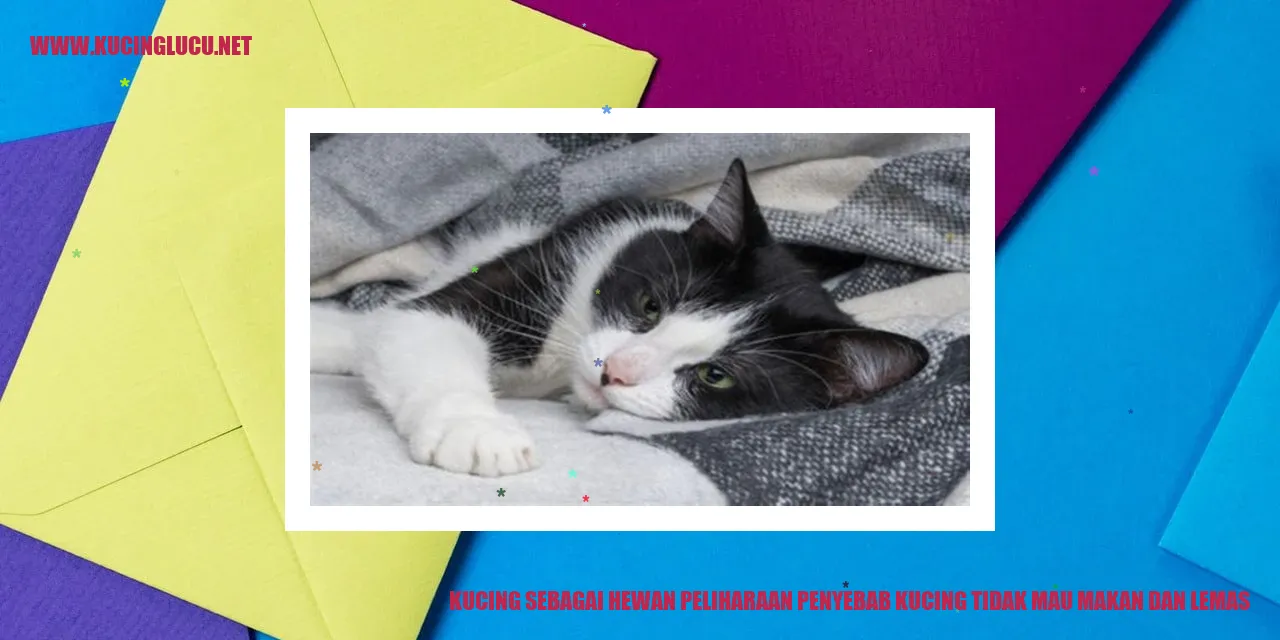 Ilustrasi Kucing