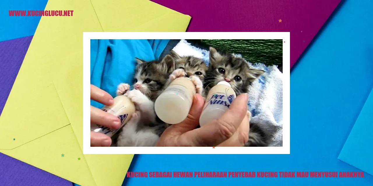 Gambar Kucing yang Menolak Menyusui Anaknya