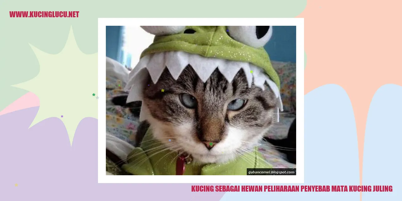 Gambar kucing yang menggemaskan