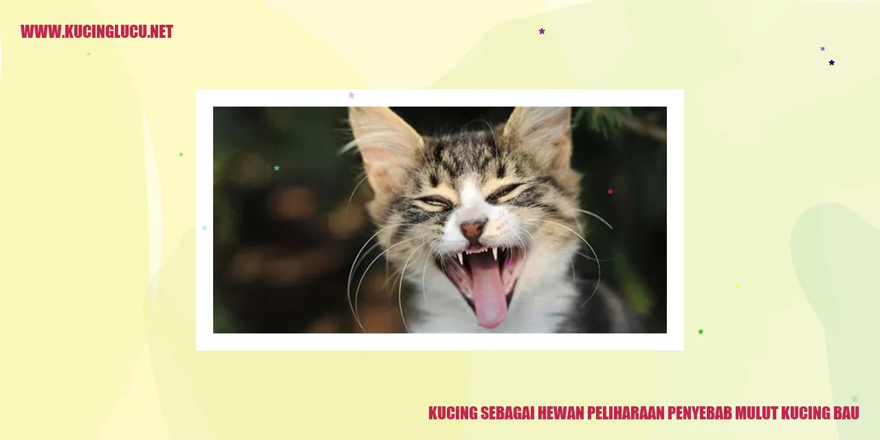 Gambar kucing dengan bau mulut
