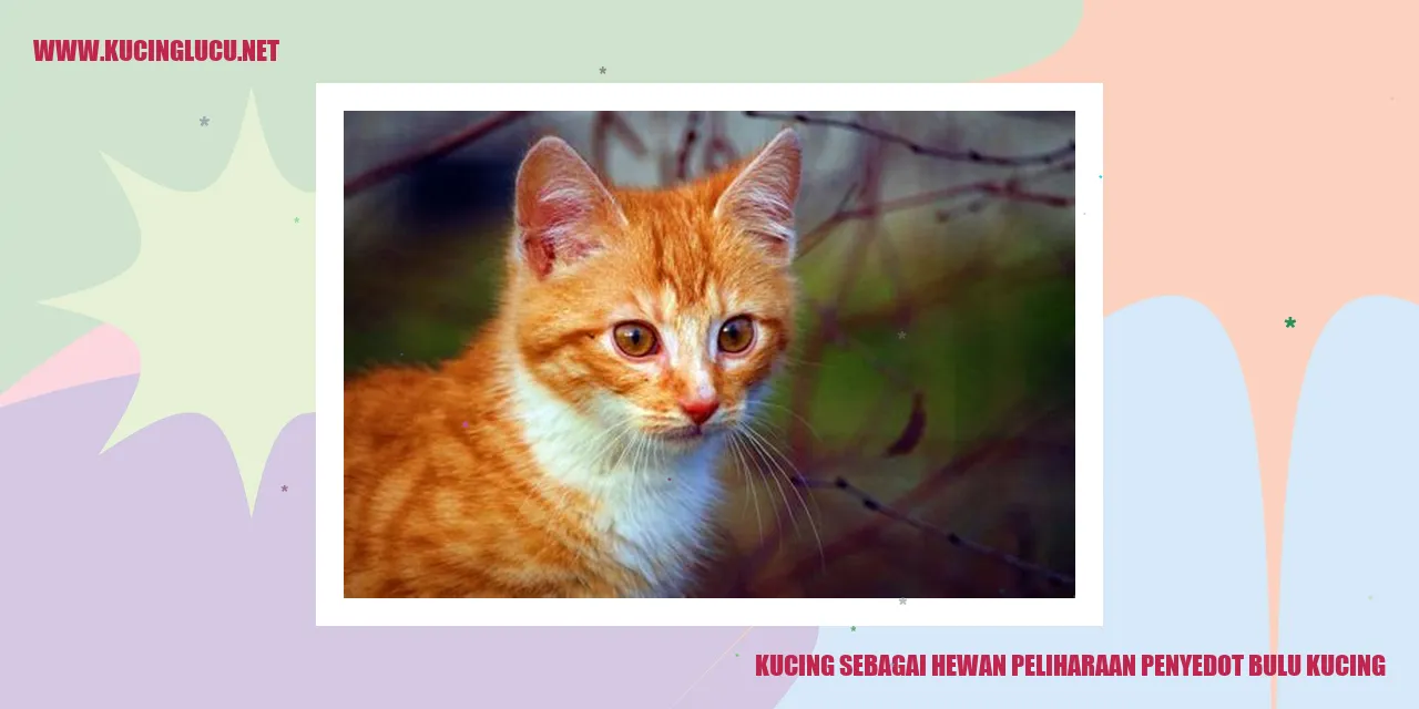 Gambar Kucing yang Sedang Menyedot Bulu Kucing