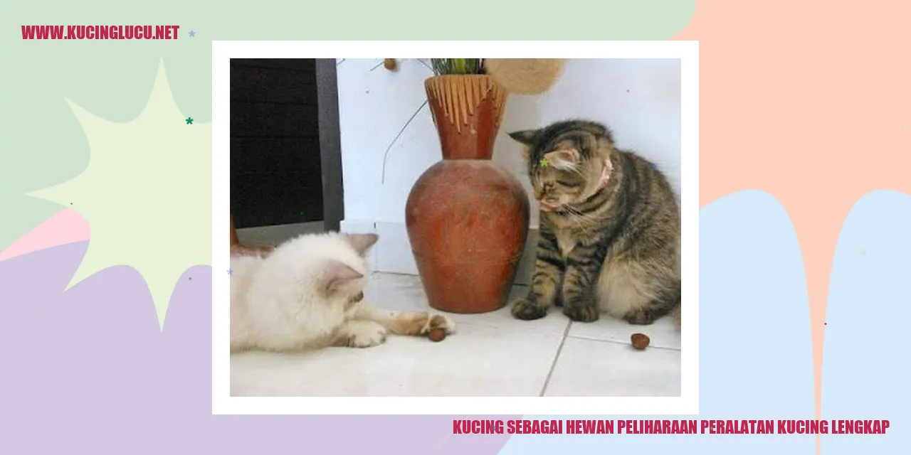 Peralatan Kucing yang Diperlukan