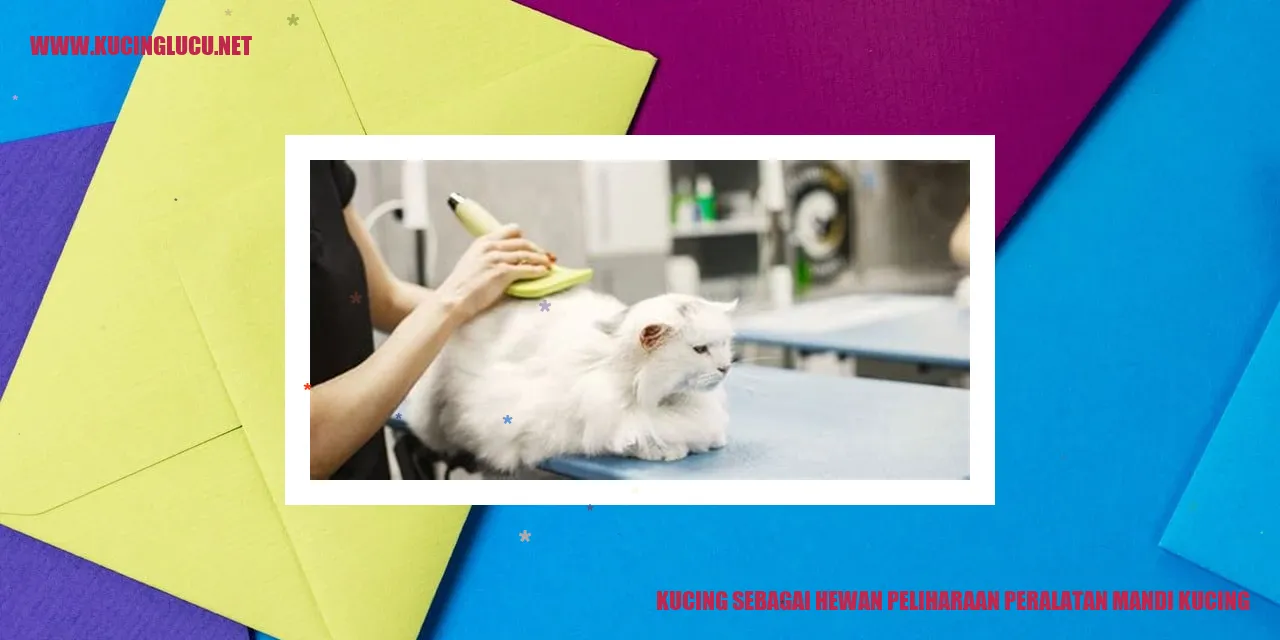 Gambar kucing kecil sedang dimandikan oleh pemiliknya