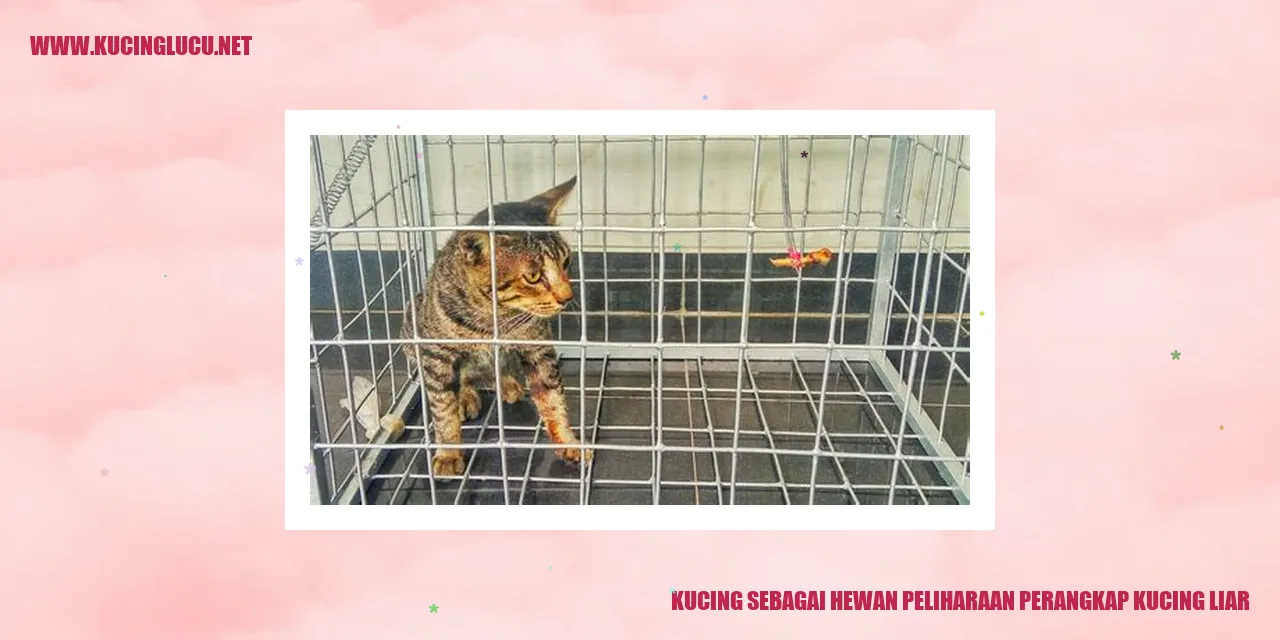 Kucing sebagai Hewan Peliharaan perangkap kucing liar