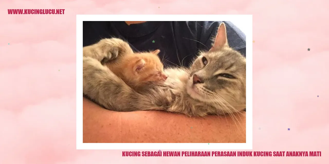Gambar Seekor Kucing yang Bersedih