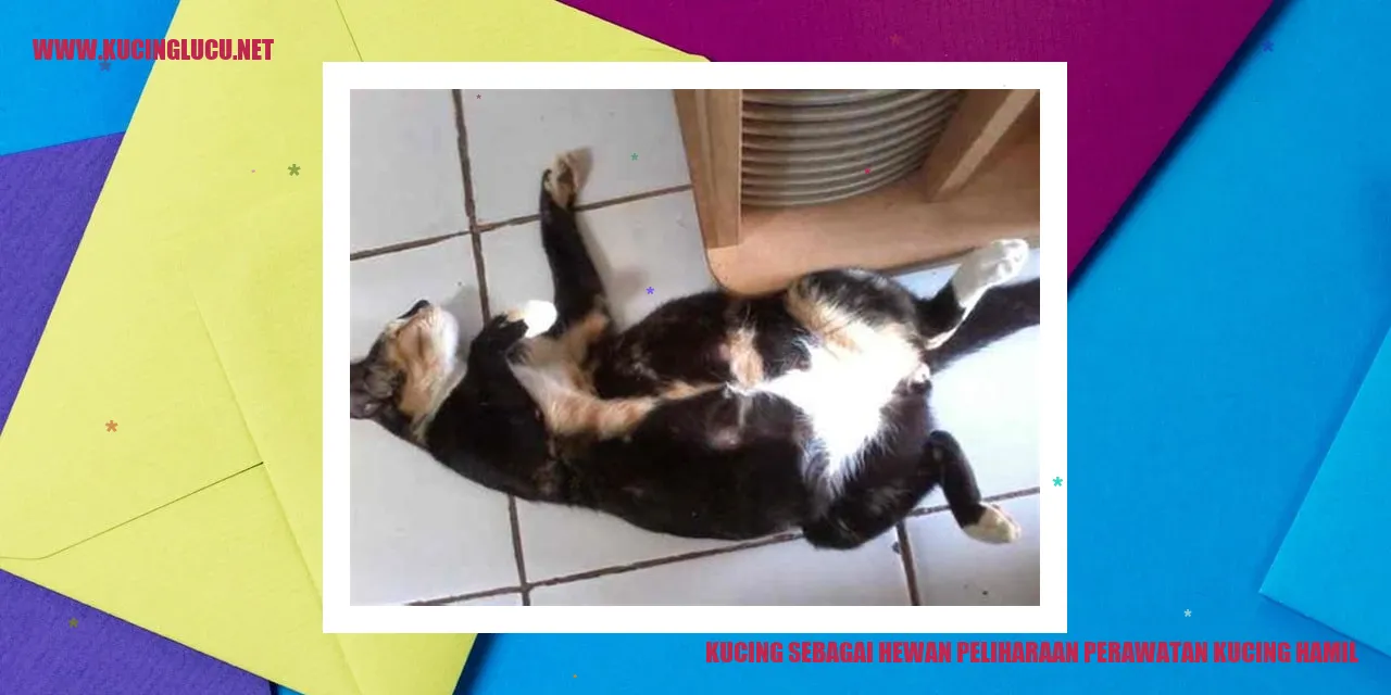 Ilustrasi kucing hamil