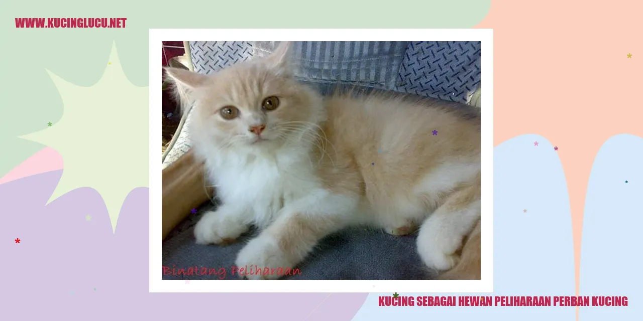 Kucing sebagai Hewan Kesayangan