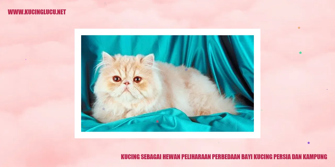 Gambar Kucing