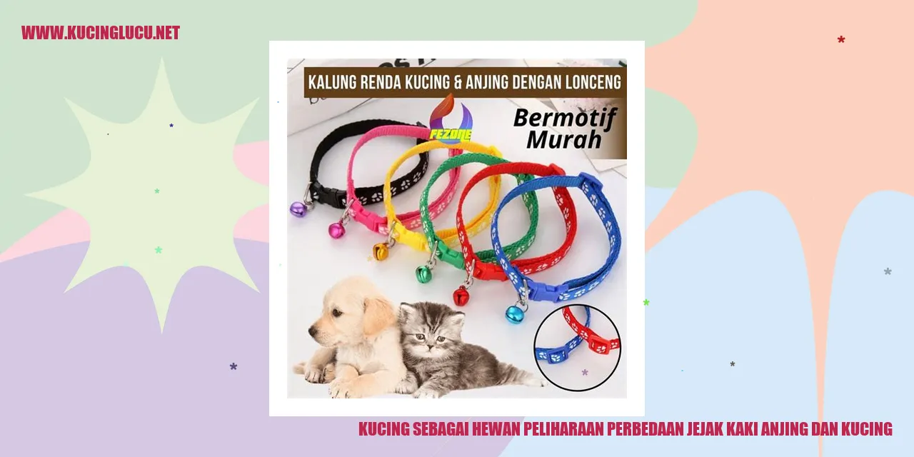 Kucing dan jejak kakinya