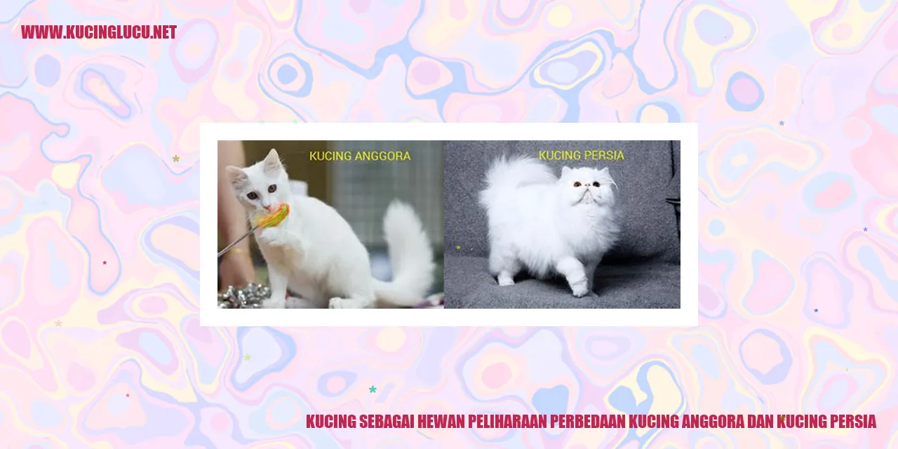 Kucing sebagai Hewan Peliharaan