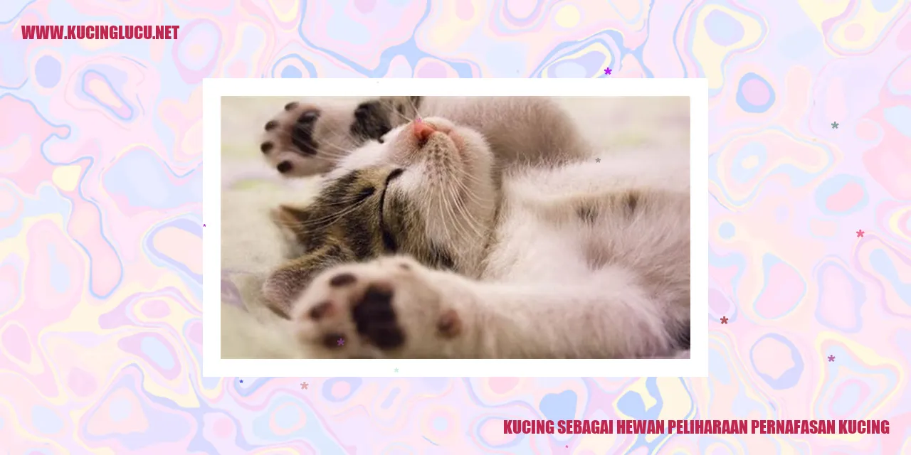 Kucing sebagai Hewan Peliharaan pernafasan kucing