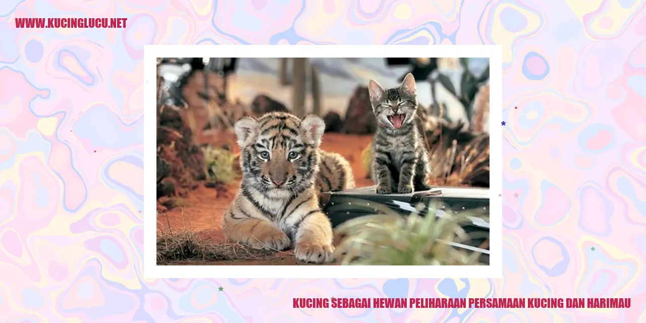 Kucing sebagai Hewan Peliharaan persamaan kucing dan harimau