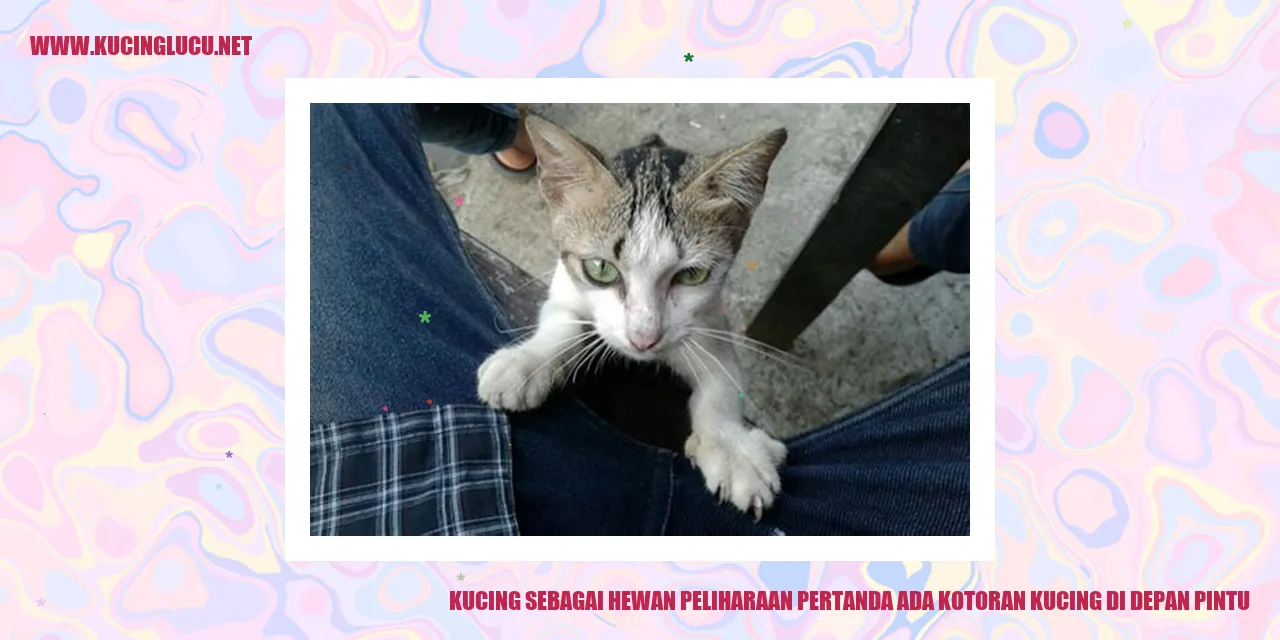 Gambar kucing