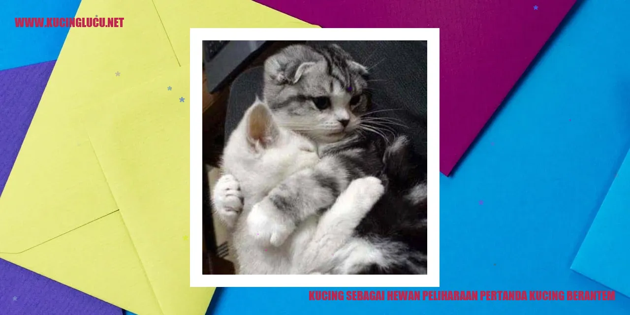 gambar kucing